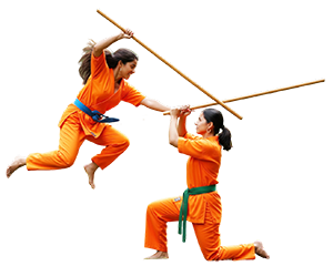 World Silambam Association